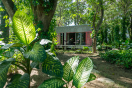  BÜROSE Marken-, Medien und Motiondesign