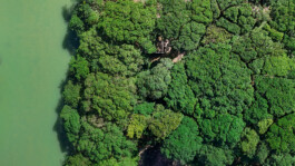  BÜROSE Marken-, Medien und Motiondesign